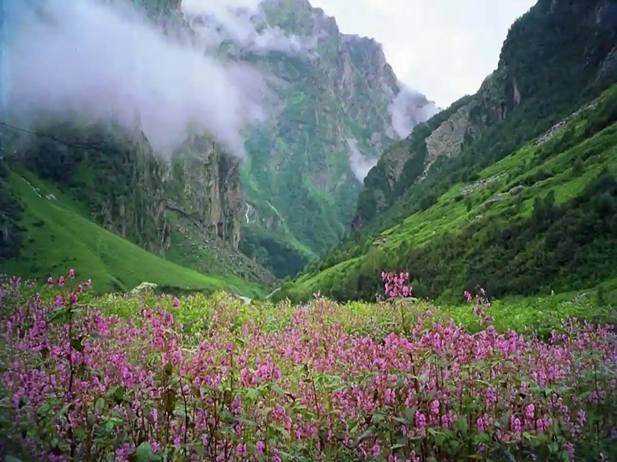 Valley of Flowers